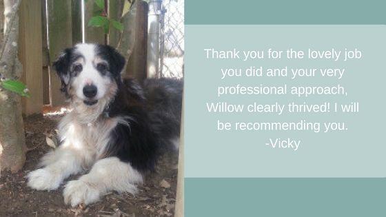 Thank you for the lovely job you did and your very professional approach, Willow clearly thrived! I will be recommending you. -Vicky